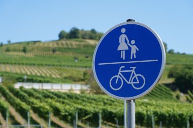 Mehr Fahrrad für alle Das neue Radverkehrskonzept für den Kreis Bergstraße ist nun fertig und wird den Bürgerinnen und Bürgern in einer Reihe öffentlicher Veranstaltungen zusammen mit einem interessanten Begleitprogramm vorgestellt. Zu sehen ist ein blaues Verkehrsschild für Fußgänger und Radfahrer, im Hintergrund erkennt man Weinberge.