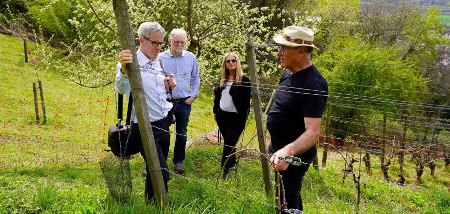 Tauschten sich gemeinsam zum Thema ökologischer Weinanbau aus: (v.l.n.r.) Landrat Christian Engelhardt, Reiner Pfuhl (Klimaschutzmanager des Kreises Bergstraße), Corinna Simeth (Leiterin der Abteilung Kreisentwicklung und Grundsatz beim Kreis Bergstraße) und Gerold Hartmann (Gründer der Winzergemeinschaft Feligreno).