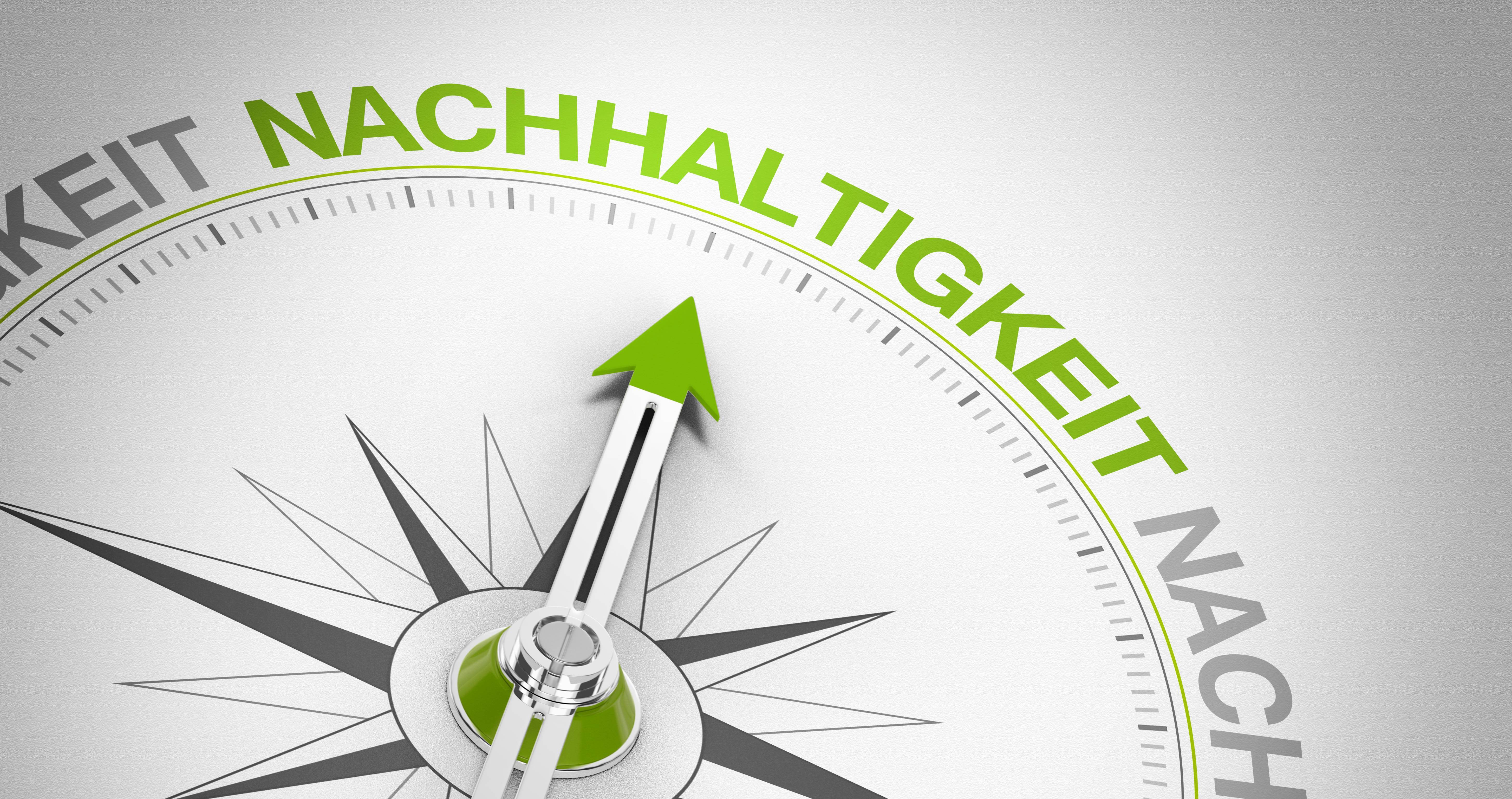 Im Rahmen der Vereinsförderung wird auch die Nachhaltigkeit gefördert.