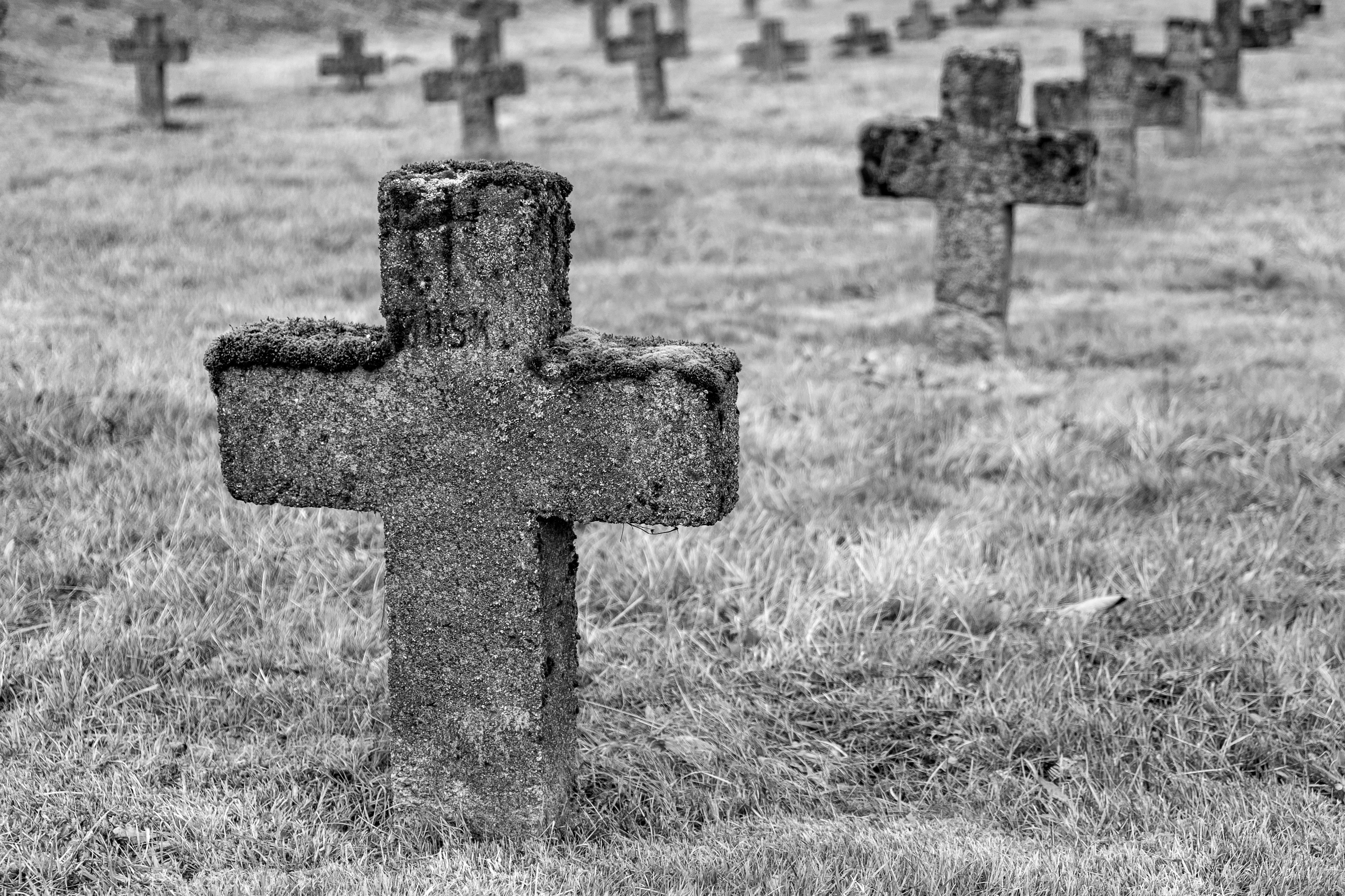 Unterstützung für die Kriegsgräberfürsorge 