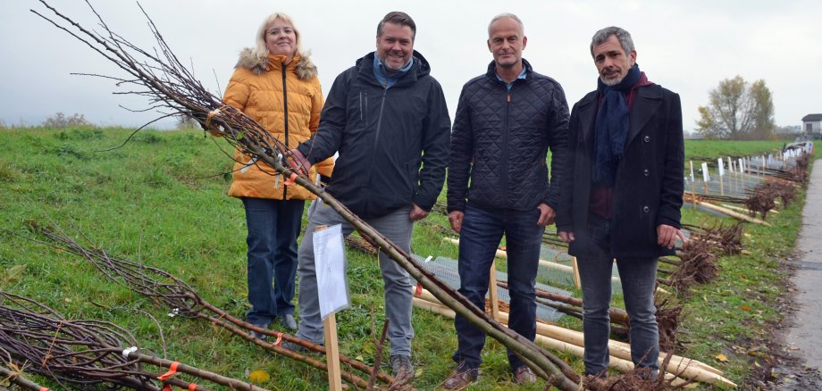 (v.l.n.r.) Ute Schollmaier (für die Obstbaumaktion zuständige Projektleiterin bei der Abteilung „Ländlicher Raum“ der Kreisverwaltung), Florian Schumacher (von der Initiative Streuobstwiesenretter), Thomas Renkert (Leiter der Abteilung „Ländlicher Raum“ in der Kreisverwaltung), und Ulrich Androsch (Geschäftsführer Gewässerverband Bergstraße) bei der Obstbaumabholung. 