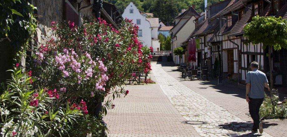 Die Scheuergasse mit den zahlreichen Scheunen links und rechts, im Hintergrund die Weinberge.