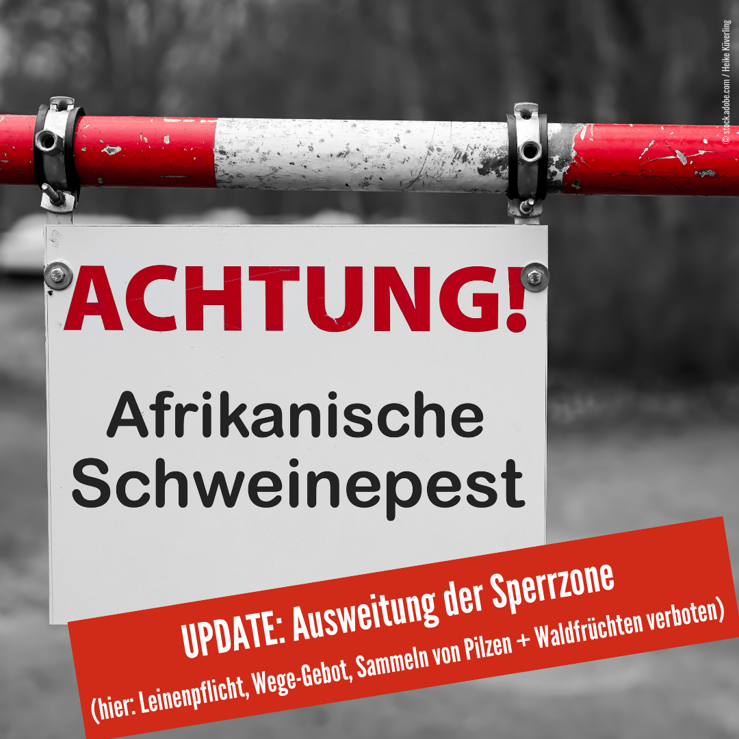 Afrikanische Schweinepest_Hinweise zur aktuellen Lage
