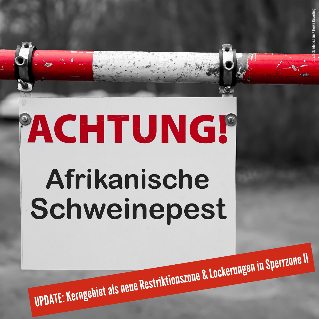 Kerngebiet als neue Restriktionszone, Lockerungen in Sperrzone II