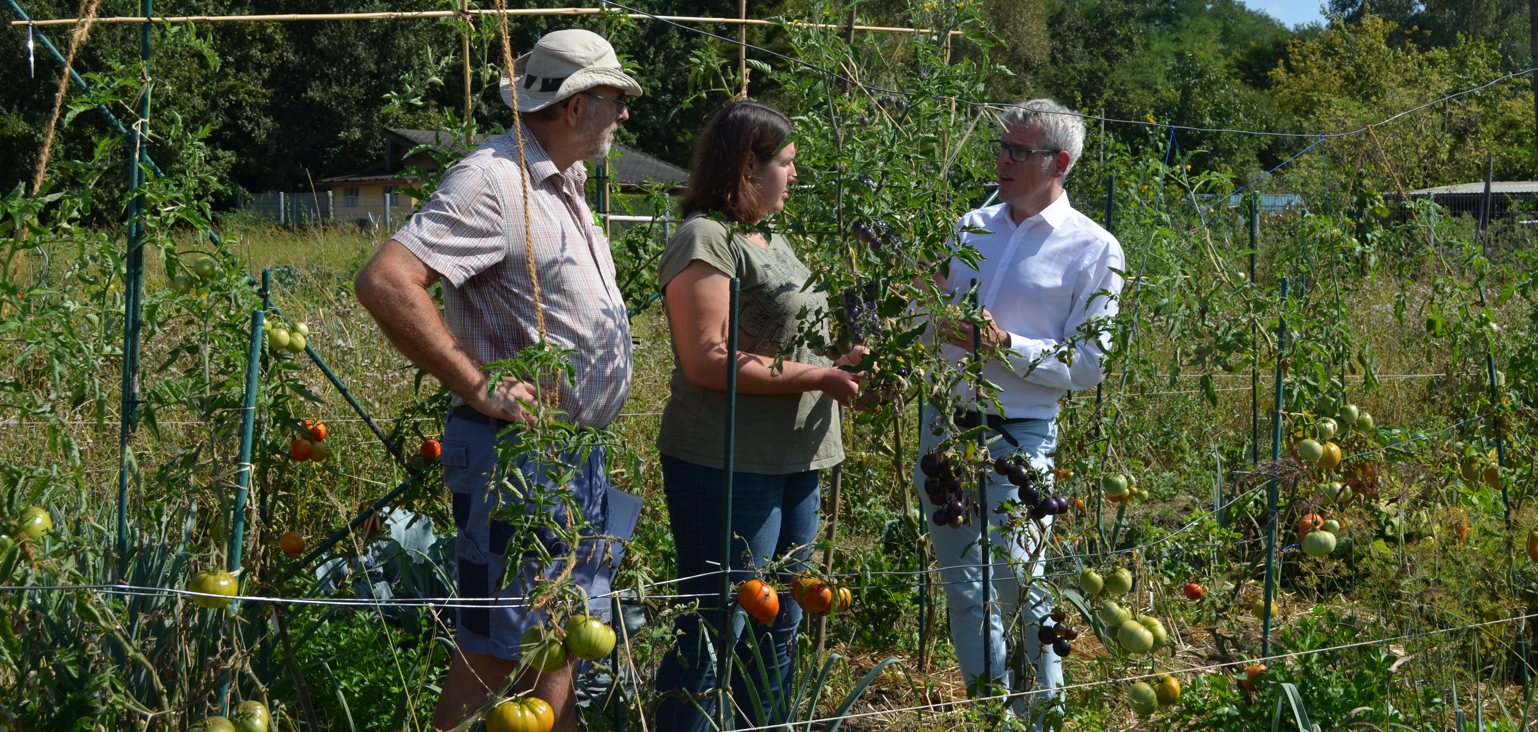Lutz Jährling, seine Tochter Marion und Landrat Christian Engelhardt stehen gemeinsam im Saisongarten zwischen Gemüsesträuchern und unterhalten sich.