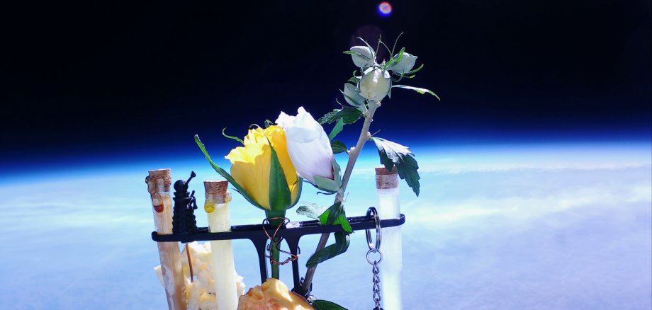 Ein Blick aus dem 2024 im Kreis Bergstraße gestarteten Stratosphärenballon, der mit verschiedenen Blumen und Reagenzgläsern bestückt ist, auf die Erde.