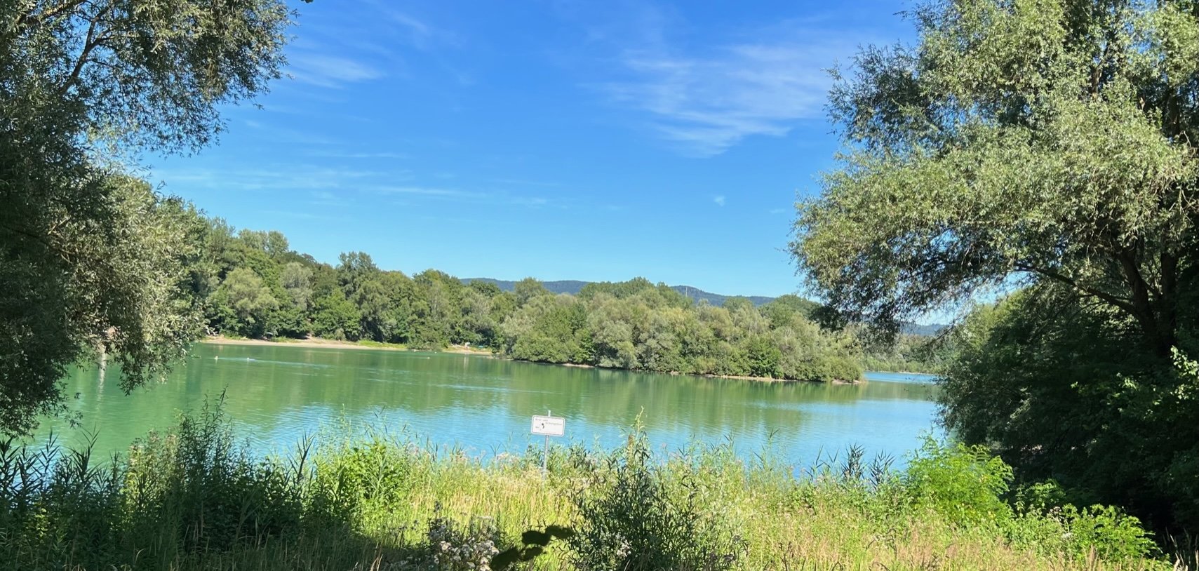 Der Erlensee bei Bickenbach.