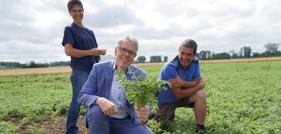Landrat Christian Engelhardt (Mitte) ist mit dem Landwirte-Paar auf dem Feld und präsentiert die südhessische Kichererbse aus Biblis von Dagmar und Siegbert Ochsenschläger.