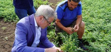 Besuch Familie Ochsenschläger Landrat Christian Engelhardt (links) lässt sich von Siegbert Ochsenschläger (rechts) die Symbiose der Kichererbse mit Knöllchenbakterien erläutern, während sie auf dem Feld sind.