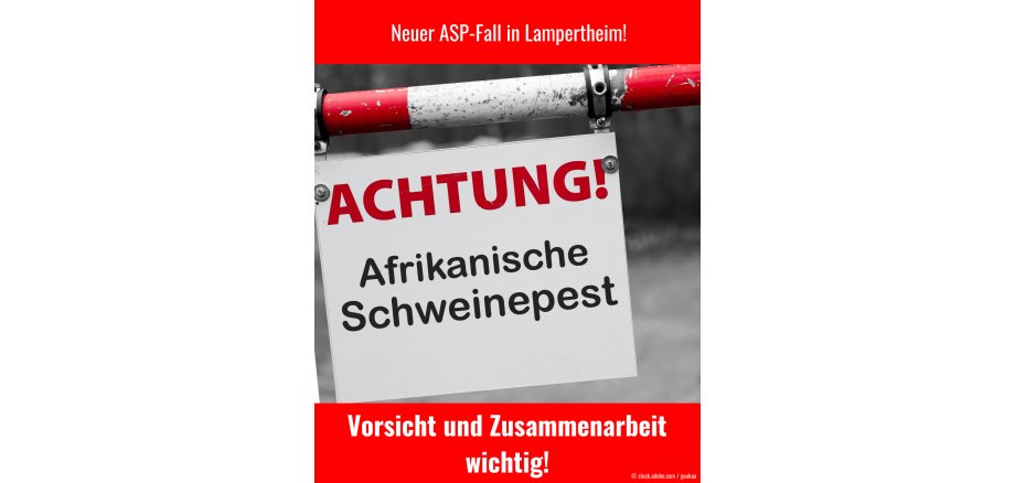 Vorsicht ASP: Neuer Fall in Lampertheim nachgewiesen