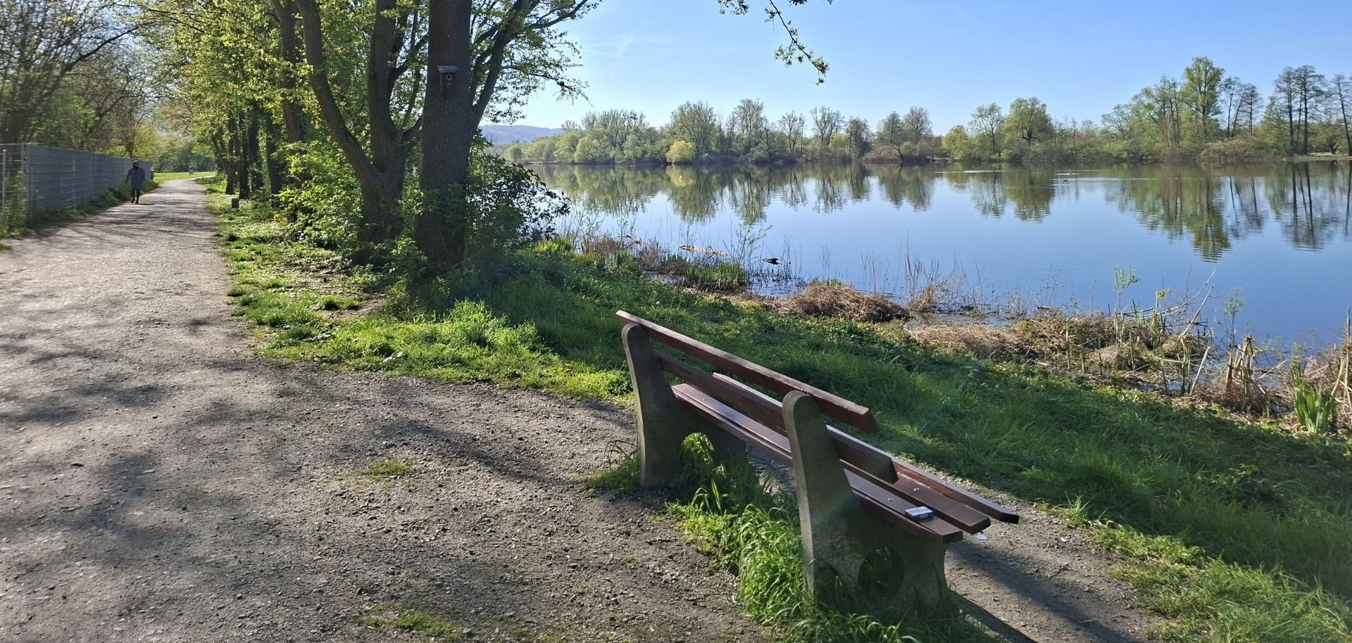 Das Bild zeigt einen Ausschnitt des Bruchsees mit einer Bank und Bäume.