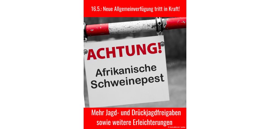 Neue Allgemeinverfügung zur ASP bringt Lockerungen 8. AVV tritt zum 16.5. in Kraft
