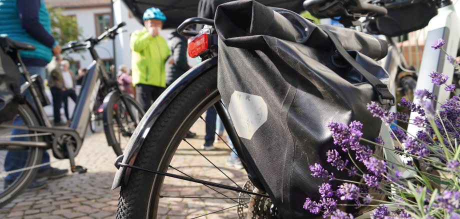 Fahrradaktionstag im Landratsamt Nahaufnahme einer Fahrradreifens vor ein paar Blumen beim Fahrradaktionstag im Landratsamt.