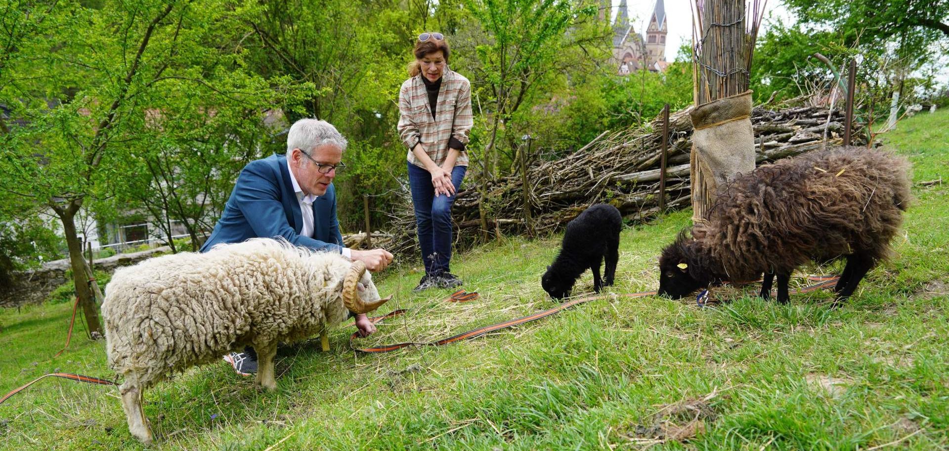 Landrat Christian Engelhardt zu Besuch auf der Streuobstwiese von Beate Weis vom Verein Genial Regional e.V., der auch am Streuobstmarkt dabei sein wird.