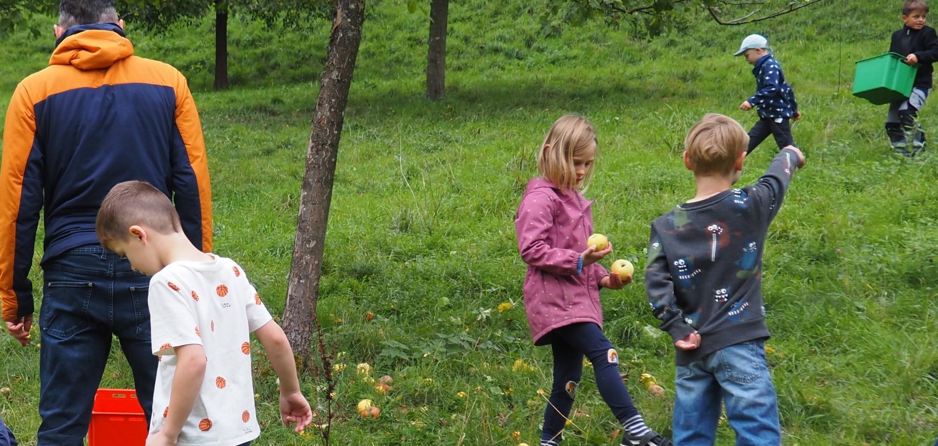 Apfelernte Streuobstjahr Schülerinnen und Schüler der Klassen 1a, 1b und 3c der Schlossbergschule Auerbach bei der Apfelernte im Staatspark Fürstenlager.