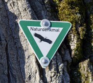 Hinweisschild Naturdenkmal an einem Baum
