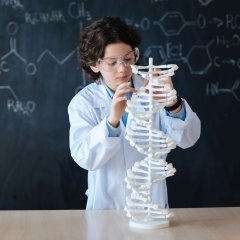 Smart pupil enjoying chemistry class at school