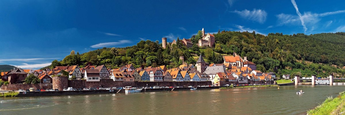 Hirschhorn mit Burg und Altstadt am Neckar im Sommer.