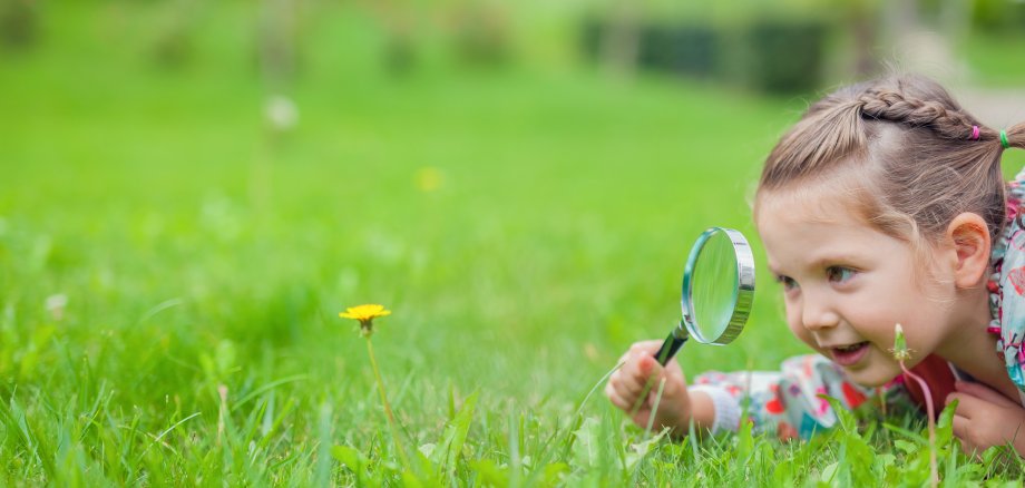 Kindertagespflege Ein kleines Mädchen liegt auf einer grünen Wiese und schaut mit einer Lupe eine gelbe Löwenzahn-Blüte, die auf der Wiese steht, an.