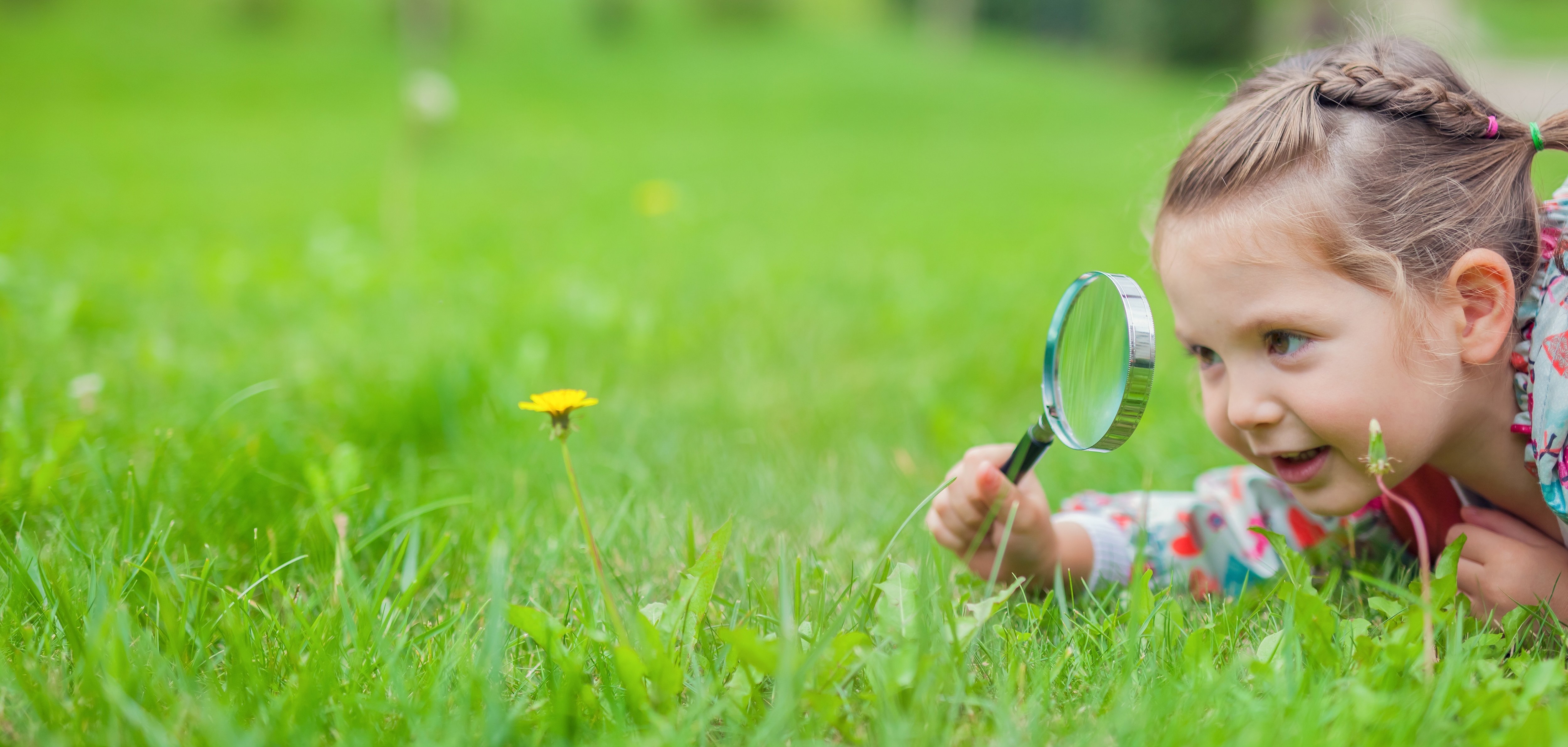 Ein kleines Mädchen liegt auf einer Wiese und betrachtet eine Blume mit einer Lupe.