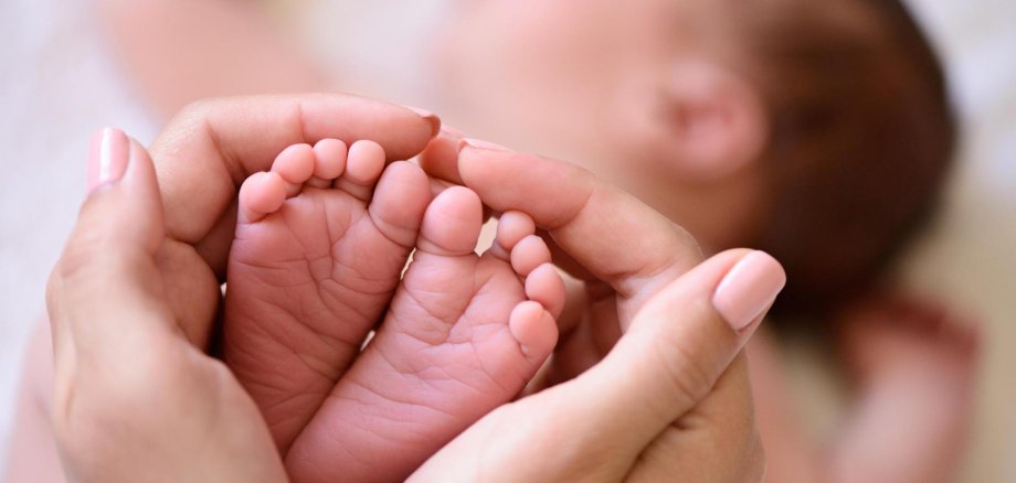 tiny foot of newborn baby tiny foot of newborn baby