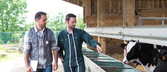 Landwirt und Tierarzt im Kuhstall