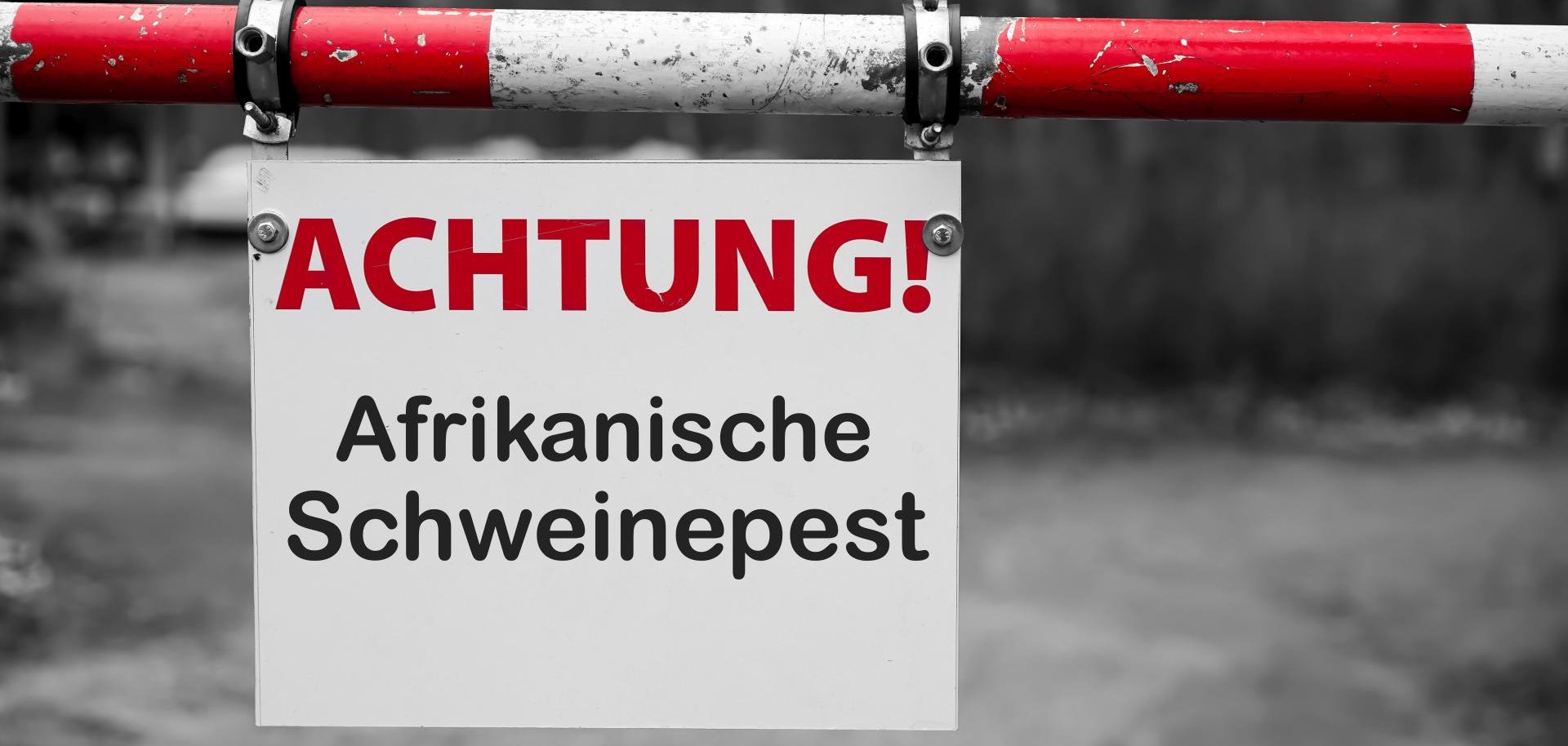 Schild mit der Aufschrift "Achtung Afrikanische Schweinepest" an einer Schranke