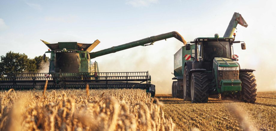 Mähdrescher und Traktor bei der Ernte auf einem Weizenfeld