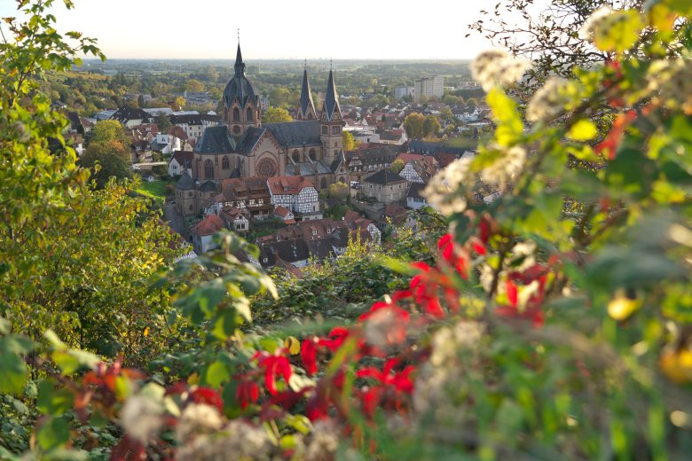 Blick auf Heppenheim an der Bergstraße