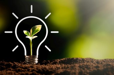 Kleine Pflanz in gezeichneter Glühbirne