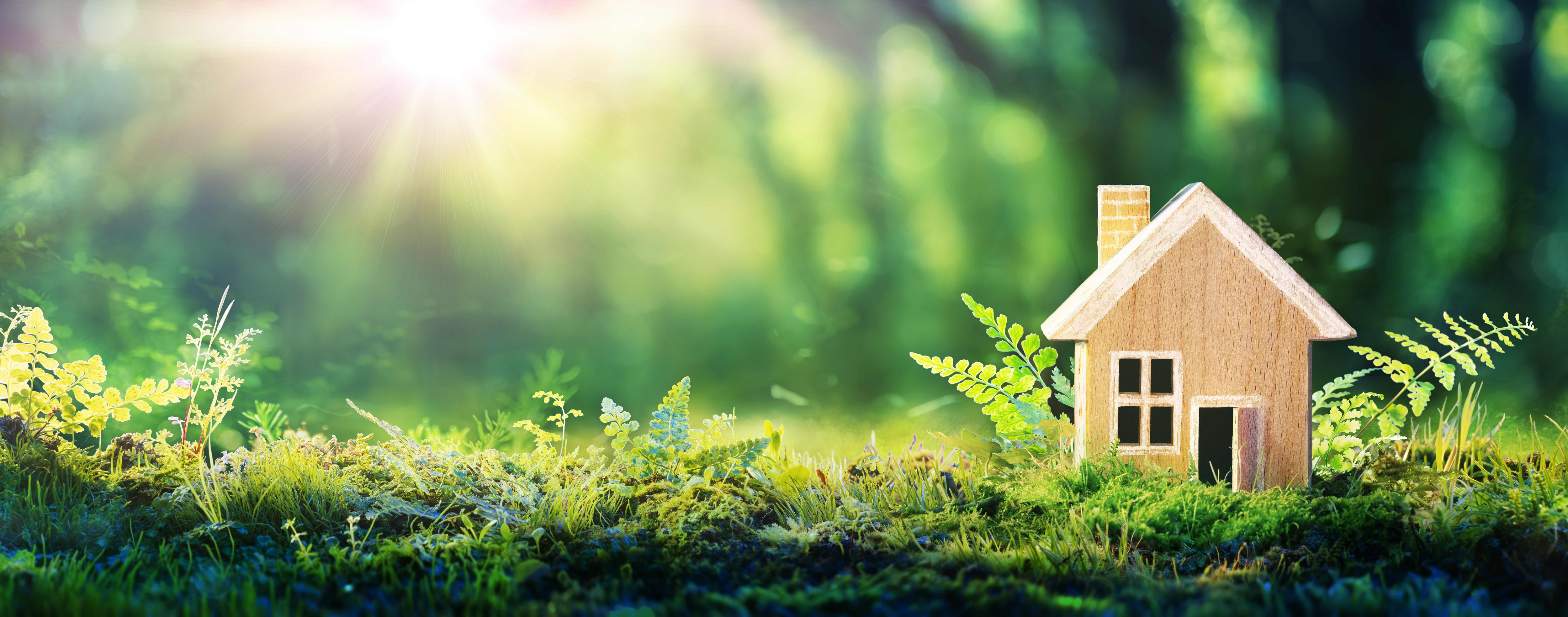 Kleines Holzhaus steht auf Waldboden