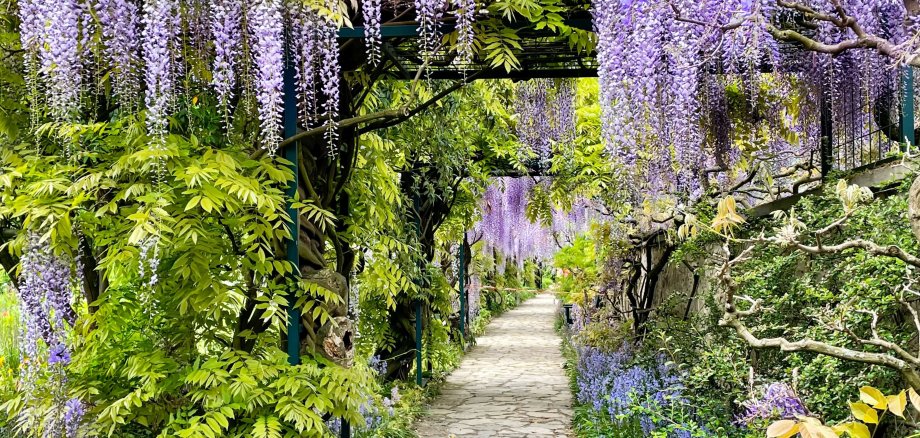 Hermannshof Hermannshof