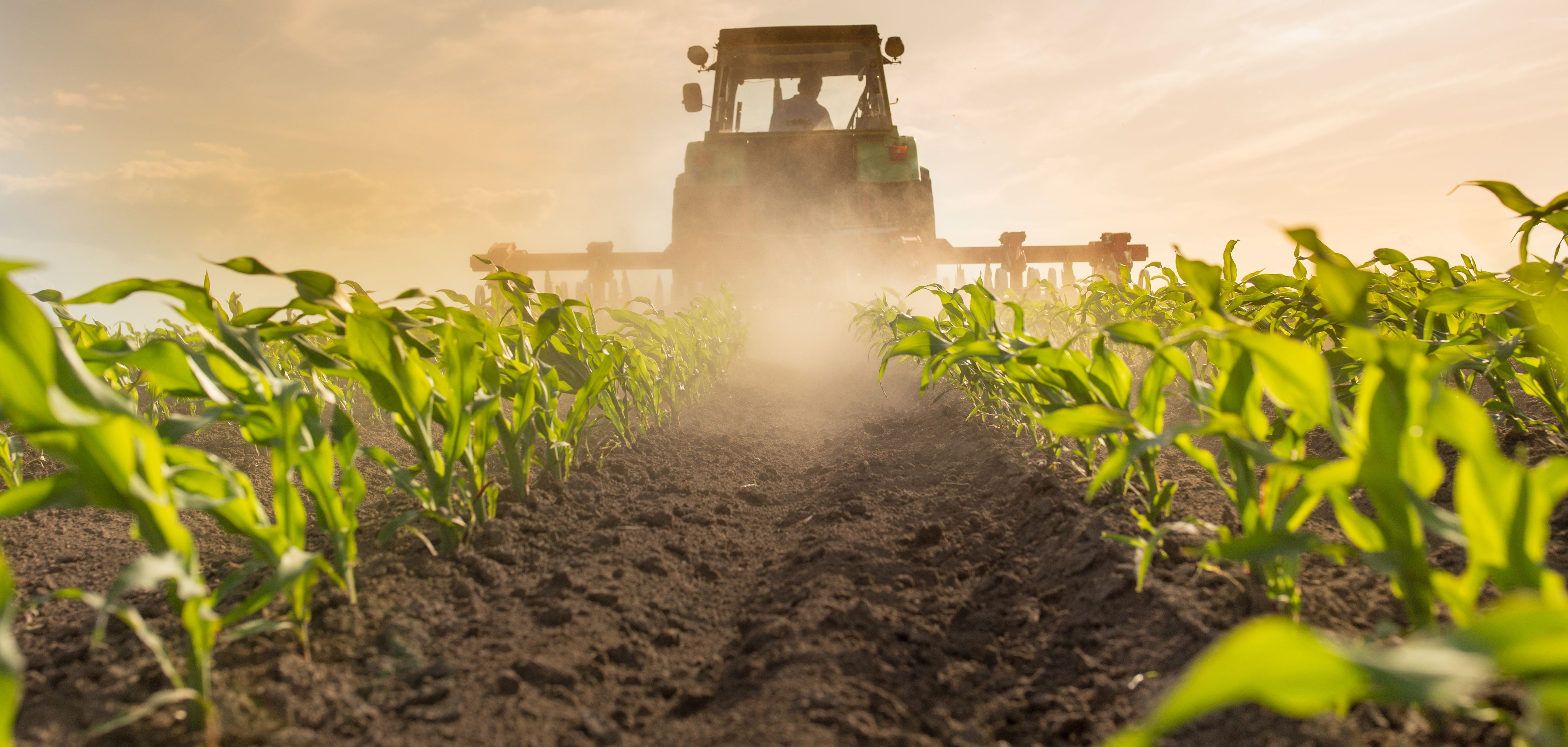 Die landwirtschaftlichen Betriebe im Kreis Bergstraße leisten einen essentiellen Beitrag für die regionale Wirtschaft und Ernährungssicherheit. Ein Traktor fährt durch ein Feld.