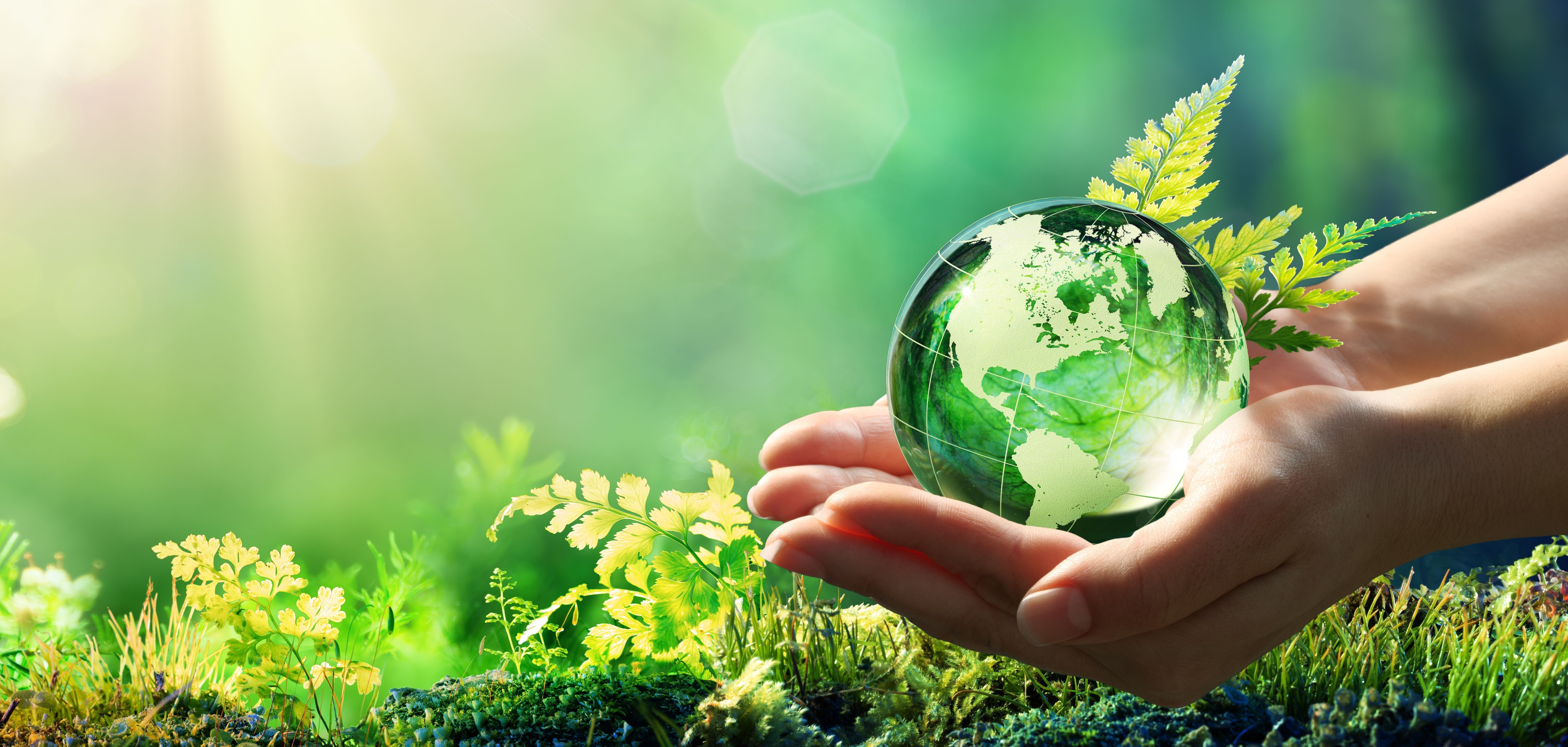 Umweltpreis 2025 Ein paar Hände halten eine Glaskugel in einem grünen Wald gegen das Licht.