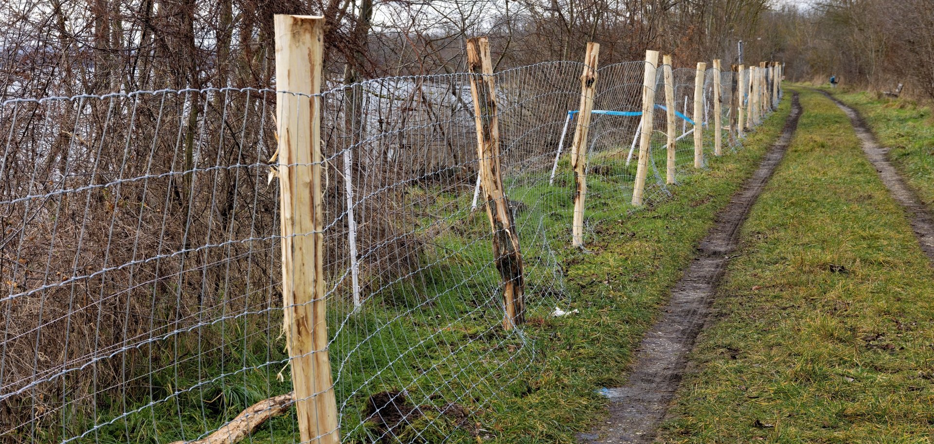 Digitale Zaunmeldung Ein Zaun an einem Waldstück.