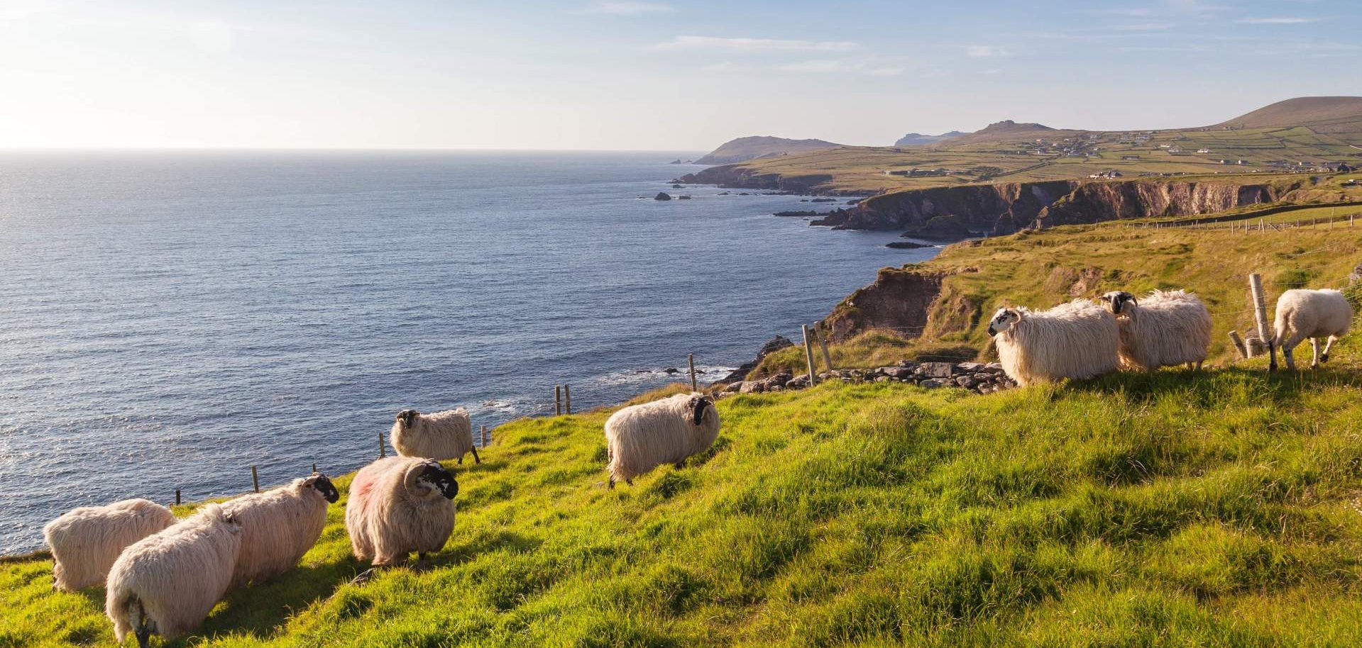 Eine Landschaft in Irland.