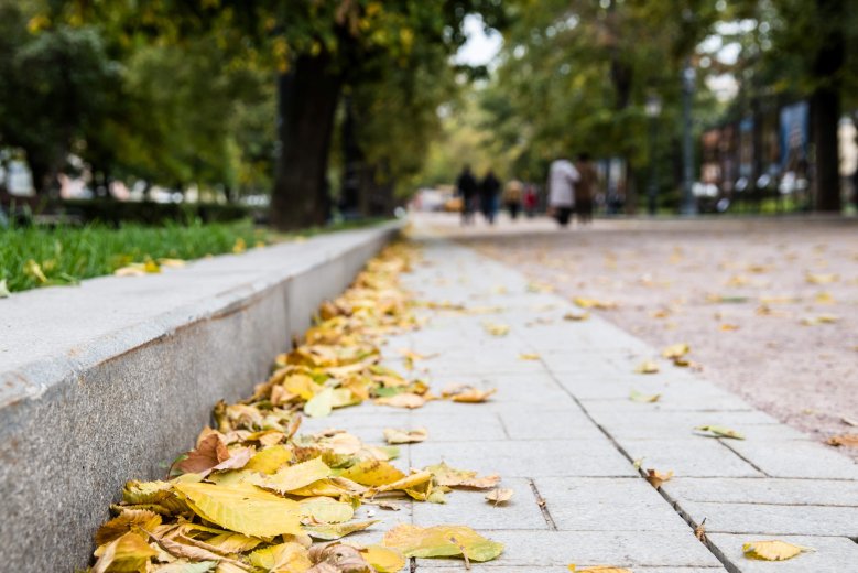 Straße im Herbst Nahaufnahme einer herbstlichen Straße mit Gehweg, auf der gelbes Laub liegt.