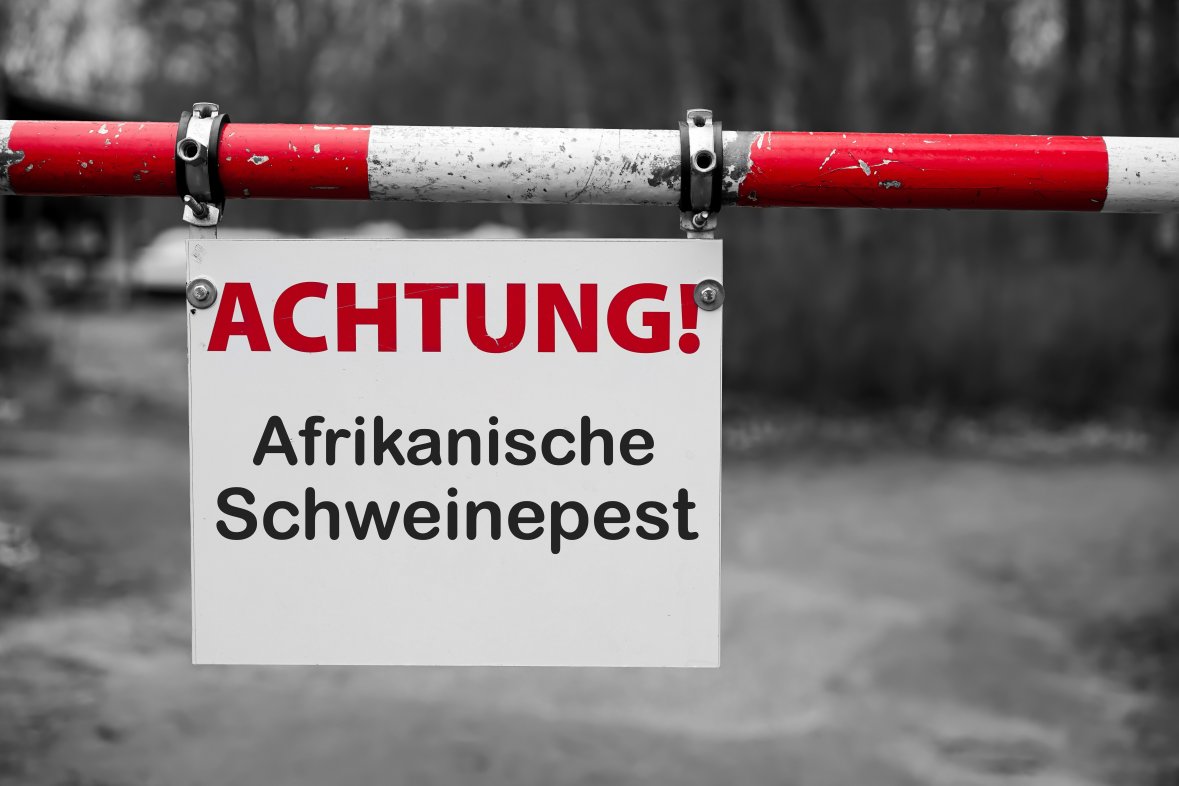 Schild mit der Aufschrift "Achtung Afrikanische Schweinepest" an einer Schranke