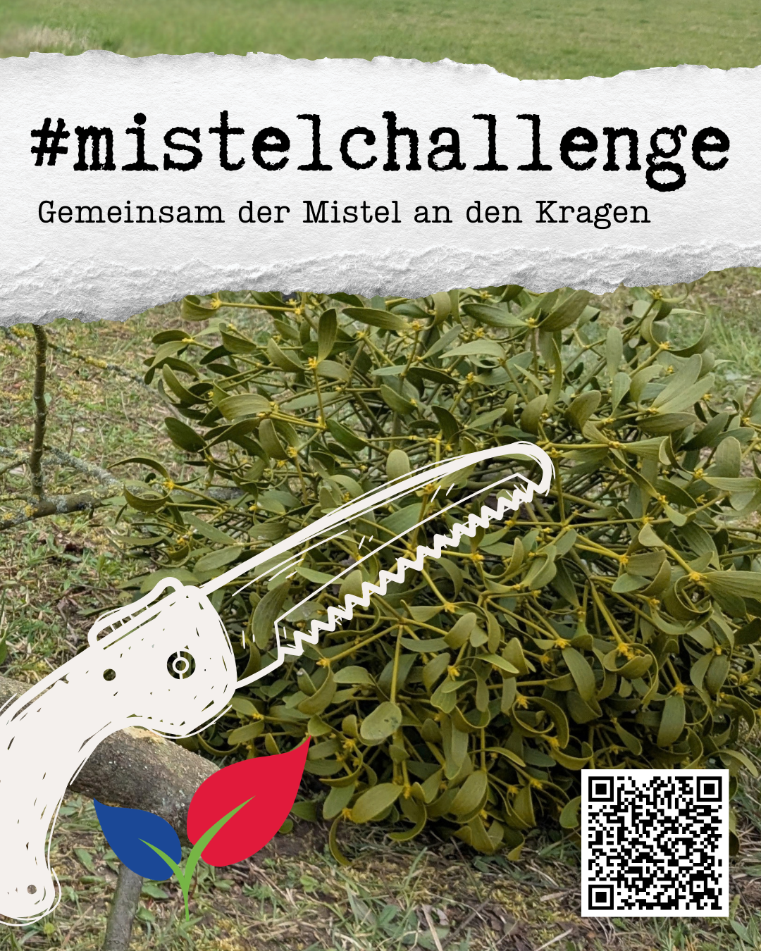 #mistelchallenge (Instagram-Post (4:5)) - 1 #mistelchallenge (Instagram-Post (4:5)) - 1
