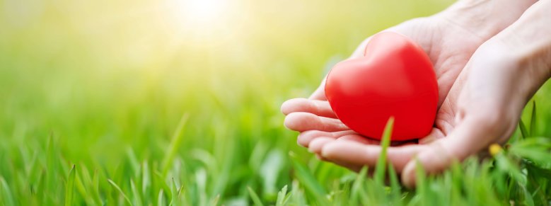 Woman hands holding red heart shape on the green grass background. Frauenhände halten Herzsymbol vor einer Wiese