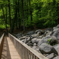 Felsenmeer im Odenwald an der Bergstraße