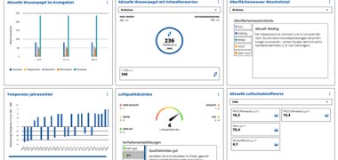 Vorschau, wie das Dashboard aussieht - Es sind sechs verschiedene Graphen zu sehen - teils Balkendiagramme, teils andere Darstellungen von Daten.