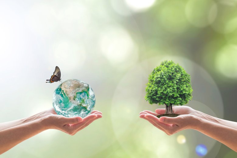 Sustainable environment and saving energy concept with green earth and tree planting on volunteers' hands. Element of the image furnished by NASA Erde und Baum werden in den Händen gehalten