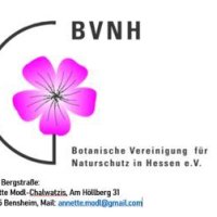 Eine rosafarbene Blüte vor weißem Hintergrund befindet sich am linken Bildrand. Die linke Seite der Blüte wird von einem schwarzen Halbkreis umgeben. Am oberen Ende des Halbkreises steht in schwarzen Buchstaben "BVNH". Am unteren Ende des Halbkreises steht "Botanische Vereinigung für Naturschutz in Hessen e.V.". Unter dem Logo am linken unteren Bildrand finden sich noch Kontaktinformationen der Ansprechpartnerin. Kontaktinformationen: "Kreis Bergstraße. Annette Modl-Chalwitz, Am Höllberg 31, 64625 Bensheim, Mail: annette.modl@gmail.com .