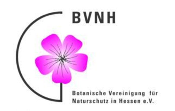Eine rosafarbene Blüte vor weißem Hintergrund befindet sich am linken Bildrand. Die linke Seite der Blüte wird von einem schwarzen Halbkreis umgeben. Am oberen Ende des Halbkreises steht in schwarzen Buchstaben "BVNH". Am unteren Ende des Halbkreises steht "Botanische Vereinigung für Naturschutz in Hessen e.V.". 