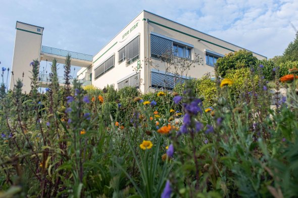 Die SPIR STAR AG gestaltet ihr Firmengelände Naturnah. So ist das Hauptgebäude im Sommer von grünen Wiesen und heimischen blühenden Blumen umgeben.