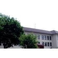 Man sieht das weiße Schulgebäude der Reichenberg-Schule Reichelsheim vor einem hellen Hintergrund. Das linke Bilddrittel wird durch zwei grün belaubte Bäume verdeckt.