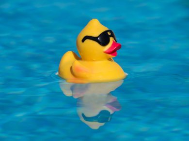 Gelbe plastik Ente im Pool