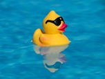 Ente Gelbe plastik Ente im Pool