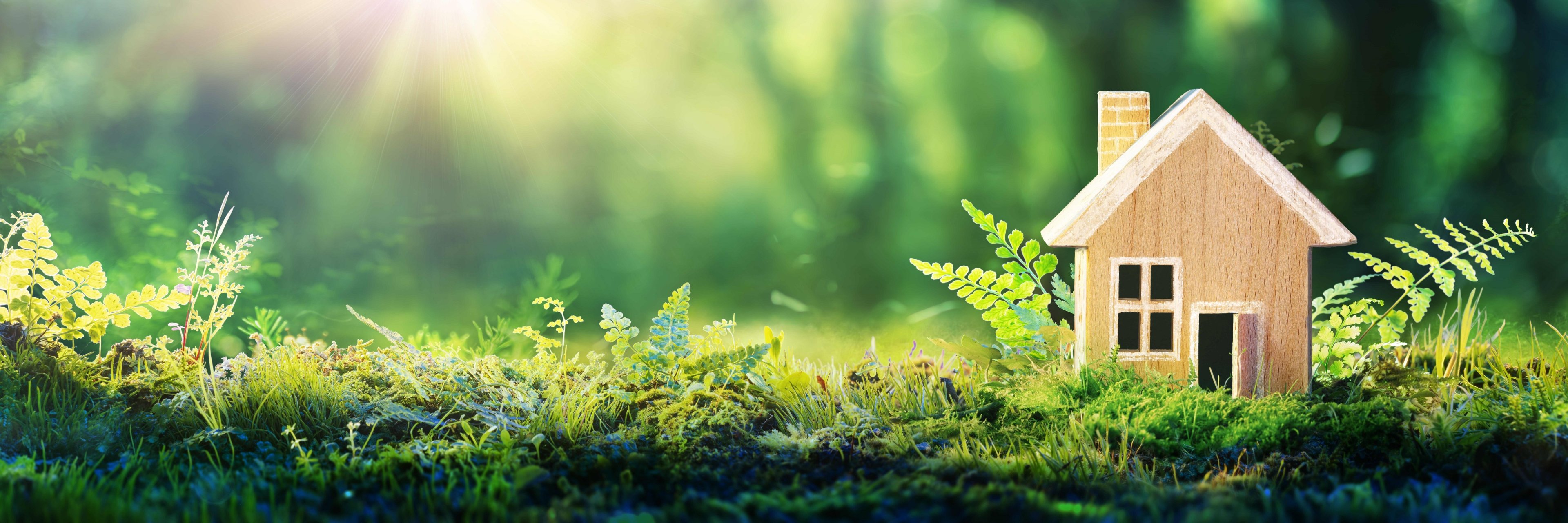 Bauen im Außenbereich Eingriffsregelung und Ökokonto Kreis Bergstrasse